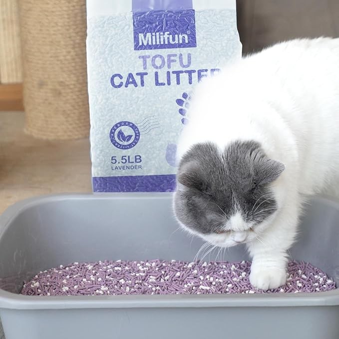 Flush with Confidence: The Modern Pet Parent’s Guide to Tofu Litter