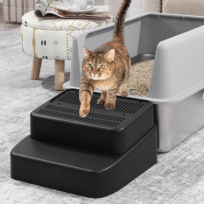 Is Your Cat’s Litter Box Silently Hurting Their Joints?