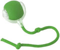 2025 Upgraded Interactive Cat Dog Toy Balls, Automatic Cat Ball Toys with Elastic Mesh Tail, Rolling Interactive Ball Toy, Green (Green)