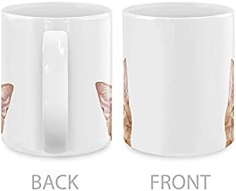 MUGBREW Orange Tabby Kitten Cat Ceramic Coffee Mug Tea Cup, 11 OZ