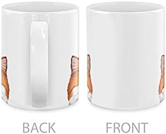MUGBREW Orange Van Exotic Shorthair Cat Ceramic Coffee Mug Tea Cup, 11 OZ
