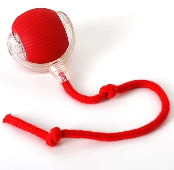 Smart Self‑Rolling Cat Ball with Tail – Interactive Rechargeable Chase Toy for Indoor Cats (Red)