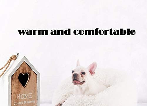 BODISEINT Modern Soft Plush Round Pet Bed for Cats or Small Dogs, Mini Medium Sized Dog Cat Bed Self Warming Autumn Winter Indoor Snooze Sleeping Cozy Kitty Teddy Kennel (20''D x 8'' H, Dark Grey)