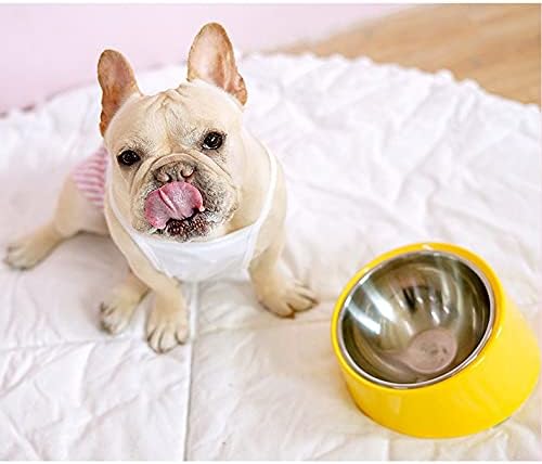 15 Degree Tilted Slow Feeder Bowl for Small Dogs and Cats, Anti-Gulping Raised Pet Food and Water Dish with Non-Skid Base, Mess-Free Easy Clean Design, Yellow