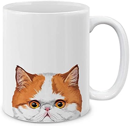 MUGBREW Orange Van Exotic Shorthair Cat Ceramic Coffee Mug Tea Cup, 11 OZ