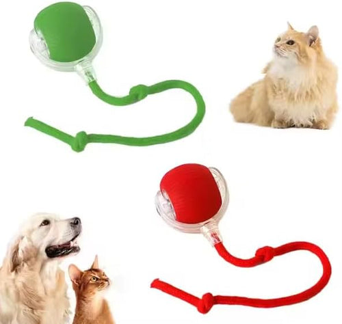 2025 Upgraded Interactive Cat Dog Toy Balls, Automatic Cat Ball Toys with Elastic Mesh Tail, Rolling Interactive Ball Toy, Green (Green)