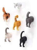 Hoovy Cat Butt Refrigerator Picture Magnets: 6 Cute & Funny Decorative Kitten Photo Magnets for Fridge| Cat Lover Gift Set