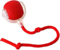 Dog Cat Toy Automatic Rolling Ball Smart Electric Pet Self-Moving Kitten Game US
