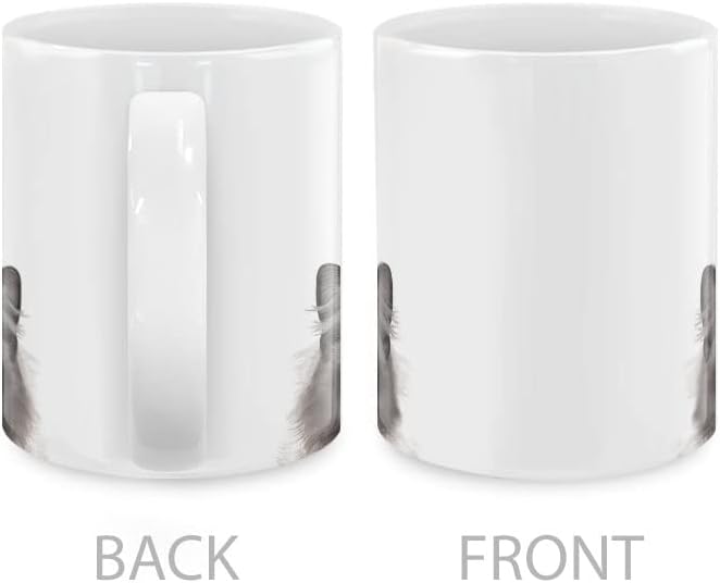 MUGBREW Seal Point Ragdoll Cat Ceramic Coffee Mug Tea Cup, 11 OZ