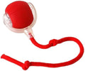 Interactive Cat & Small Dog Toy with Tail, Automatic Rolling, USB Rechargeable Smart Mouse – Juguete Interactivo para Gatos y Perros Pequeños con Cola, Ratón Inteligente Recargable (Red)