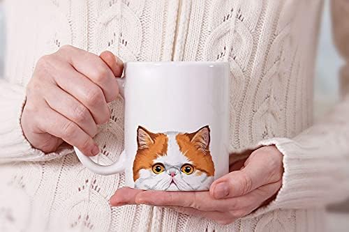 MUGBREW Orange Van Exotic Shorthair Cat Ceramic Coffee Mug Tea Cup, 11 OZ