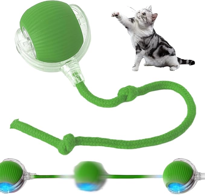 Interactive Cat Toys Ball for Indoor, 2024 New Automatic Moving Dog Toy Puppies Toys, Upgrade Multicolor Rolling Ball Motion Activate Rolling Ball Smart Automatic Rolling Pet Ball (Green)