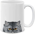MUGBREW Gray Chinchilla Persian Cat Ceramic Coffee Mug Tea Cup, 11 OZ