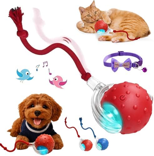 2026 New Dog Toy, Motion Dog Toy 2.0, Interactive Fast Moving Ball with Birdsong, 360° Smart Automatic Rolling Electric Dogs Ball Toys with Rope for Dogs Cat Indoor Play (Red)