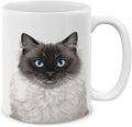 MUGBREW Cute Seal Point Ragdoll Cat Ceramic Coffee Mug Tea Cup, 11 OZ
