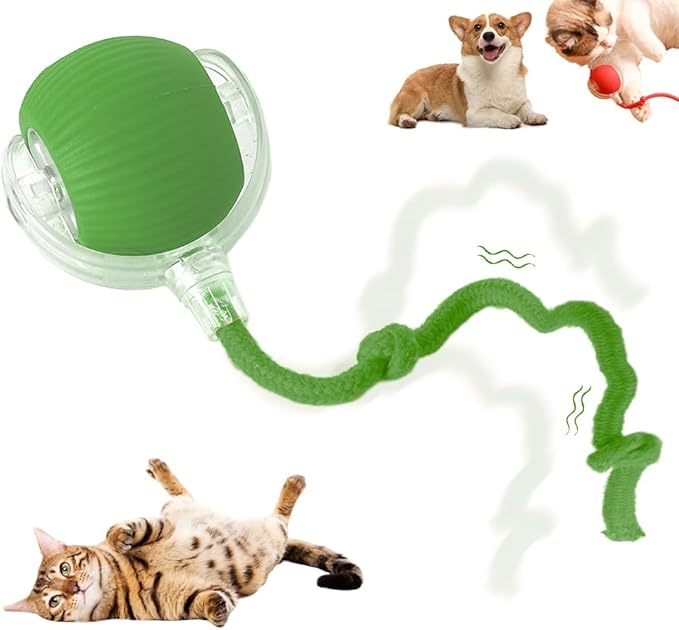 Interactive Rolling Cat Dog Ball Toy, 2025 New Automatic Interactive Cat Toys Self Moving Cat Toys, 360° Smart Automatic Rechargeable Toy Electric Dog Balls for Dog/Cat (Green)