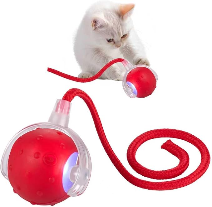 ZUAMEGUPetToy, Interactive Cat & Dog Ball Toy with Bird Sounds, Rechargeable 360° Smart Auto-Rolling Electric Pet Ball Toy (with Leash), Suitable for Indoor & Outdoor Use (Red)