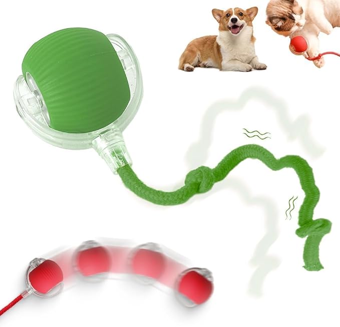 Interactive Cat Toys Balls, 2026 New Dog Toy Interactive Rolling Dog Ball, Motion Activated Cat Balls with 360° Smart Automatic Rolling Moving for Bored Kitten Pet Cats Dogs (Green)