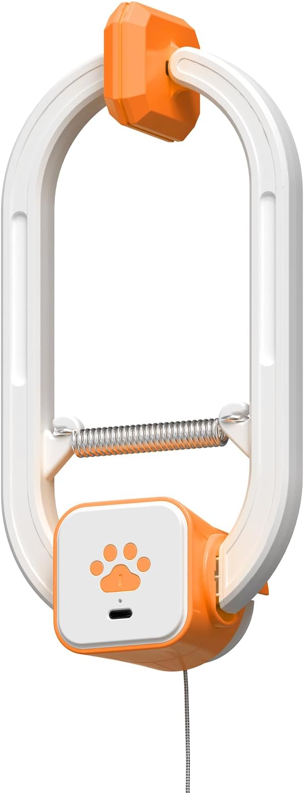 Rechargeable Electric Cat Teaser with Remote – Interactive Door Clip Teaser for Cats, 2 Motion Modes (360° Spin & Irregular Jumping), Smart Auto Cat Toy for Exercise & Fun (Orange)