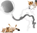 Interactive Rolling Dog Ball, 2026 New Cat Toys for Indoor Cats, 360 Smart Automatic Electric Dog Ball Toy, Fast Rolling Toy for Dogs and Cats (Grey)