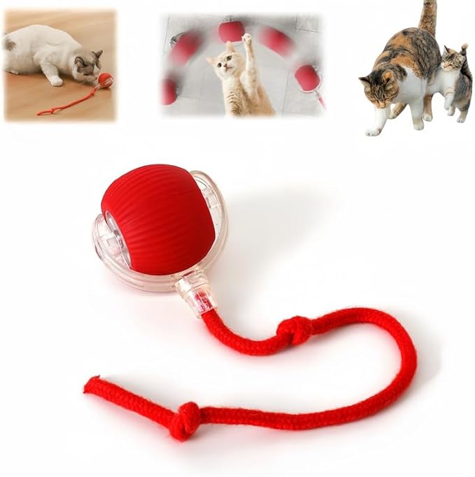 Interactive Rolling Cat Ball, Interactive Cat Toys Balls, Cat Toys for Bored Indoor Cats (Red)