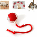 Interactive Rolling Cat Ball, Interactive Cat Toys Balls, Cat Toys for Bored Indoor Cats (Red)
