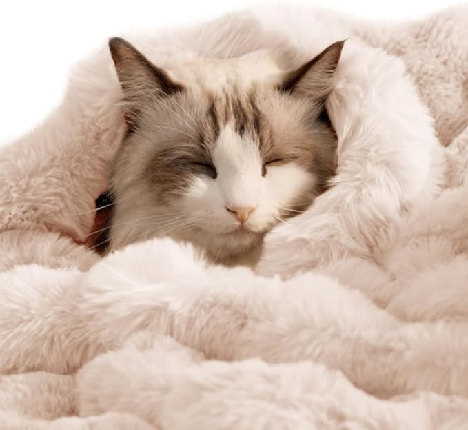 SOMAHE Self-Warming Cat Blanket for Indoor Cats & Small Dogs, Dual-Side Sherpa Plush Throw, Anti-Static Shared Couch Mat for Crate & Travel, Machine Washable No Shrink, 28x22 Inch White