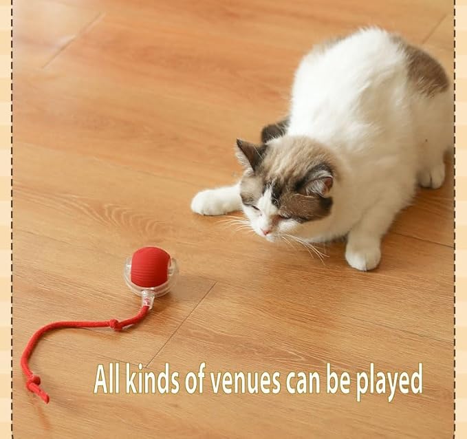 Silicone Cat Ball Toy - Smart Automatic Rolling Toy for Indoor Pets - Electric Cat Toy Ball with Tail with Motion-Activated, Fast Self-Rolling for Bored Cats & Dogs (Green)