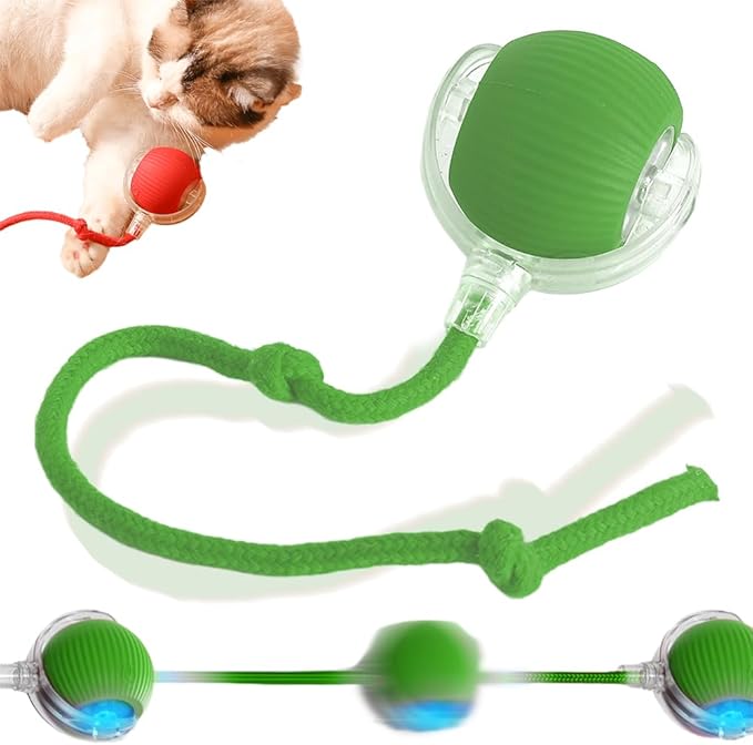 Interactive Rolling Dog Ball, 2025 Upgraded Rolling Cat Toys, Moving Interactive Dog Chew Ball Toys 2.0, Motion Activate Toys, Electric 360° Automatic for Pet Toys(Green)