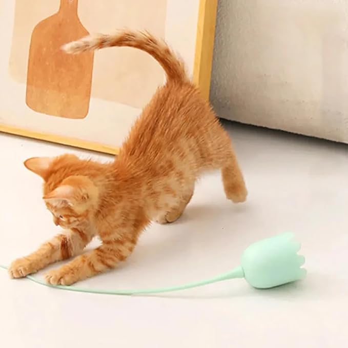 AIIONP Indoor Cat Toys, Interactive Cat Toys Ball for Indoor, Automatic Rolling Ball Cat Toys, USB Rechargeable, Fun Electric Cat Toy for Activate Natural Hunting (Pink)