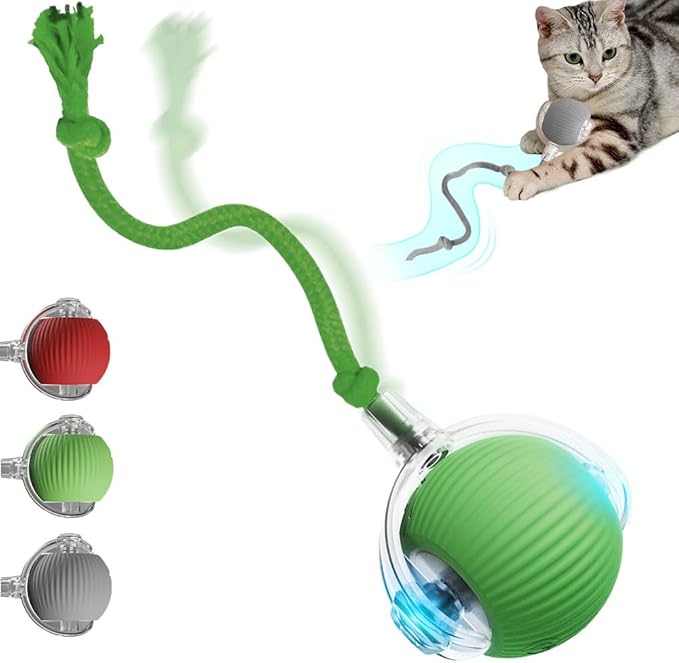 Yilia Interactive Cat Toys for Indoor Cats, 2026 Upgrade Kitten Toys to Relieve Boredom for Indoor Cats, mart Automatic Electric Balls Toys for Bored Cats Dogs (Green)