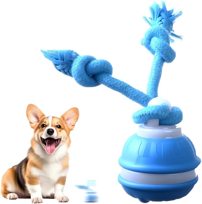 Interactive Dog Toys, Smart Touch-Activated Automatic Rolling Bouncing Ball, USB Rechargeable, Suitable for Cats & Small to Medium Puppies (Blue)