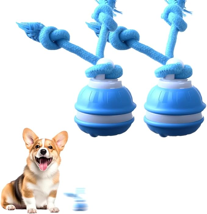Interactive Dog Toys, Smart Touch-Activated Automatic Rolling Bouncing Ball, USB Rechargeable, Suitable for Cats & Small to Medium Puppies (Blue 2pcs)