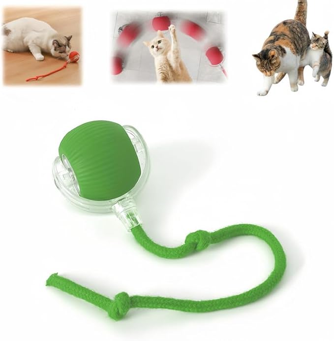 Interactive Rolling Cat Ball, Interactive Cat Toys Balls, Cat Toys for Bored Indoor Cats (Green)