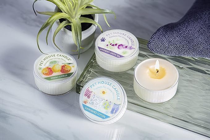 Pet House Mini Candles for Pet Odor Made with Natural Soy Wax, Plant Based, Dog and Cat Friendly Scented, Cucumber Mint Pack of 3