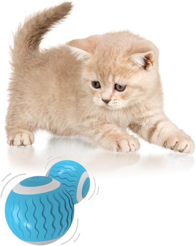 Cat Toys Interactive Spinning Ball, for Cats and Kittens. Great Exercise, with Flashing LED Lights, and it’s Rechargeable. Orange