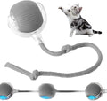 Interactive Cat Toys Ball for Indoor, 2025 New Cat Toys for Bored Indoor Adult Cats Automatic Moving Pet Ball, Upgrade Smart Self Rolling Interactive Cat Balls Toys Multicolor (Grey)