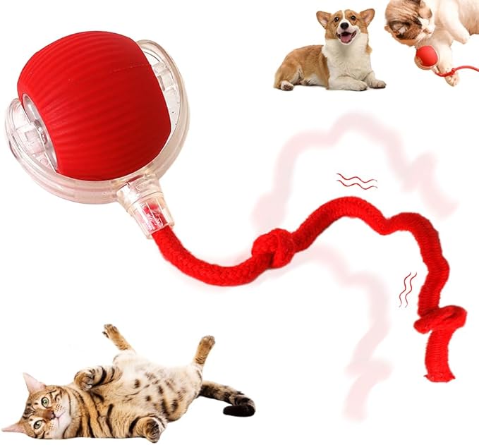 Interactive Rolling Cat Dog Ball Toy, 2025 New Automatic Interactive Cat Toys Self Moving Cat Toys, 360° Smart Automatic Rechargeable Toy Electric Dog Balls for Dog/Cat (Red)