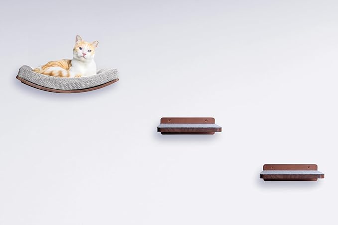 Premium Cat Shelves – Varnished Pine Wood Step (1pc). Sturdy Perches for Wall. Cat Hammock Bed Furniture for Cats