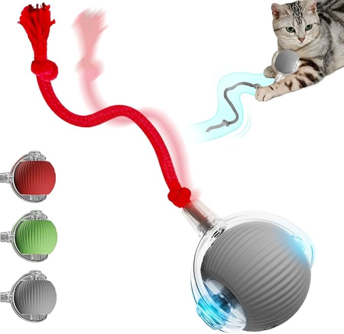 Yilia Interactive Cat Toys for Indoor Cats, 2026 Upgrade Kitten Toys to Relieve Boredom for Indoor Cats, mart Automatic Electric Balls Toys for Bored Cats Dogs (Gray)