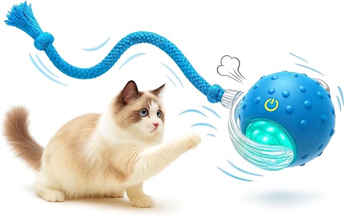 Interactive Cat Toy Ball for Indoor Cats – Fast Rolling on Carpet, Motion Activated with Chirping Sounds, Smart Play Toy (Blue)