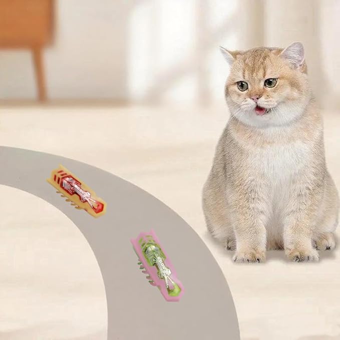 Bug Cat Toy Electric Interactive Cat Toy for Indoor Cats Moving Automatic Beetle Toy for Kitten Hunting Chasing Swatting Exercise 2Pcs