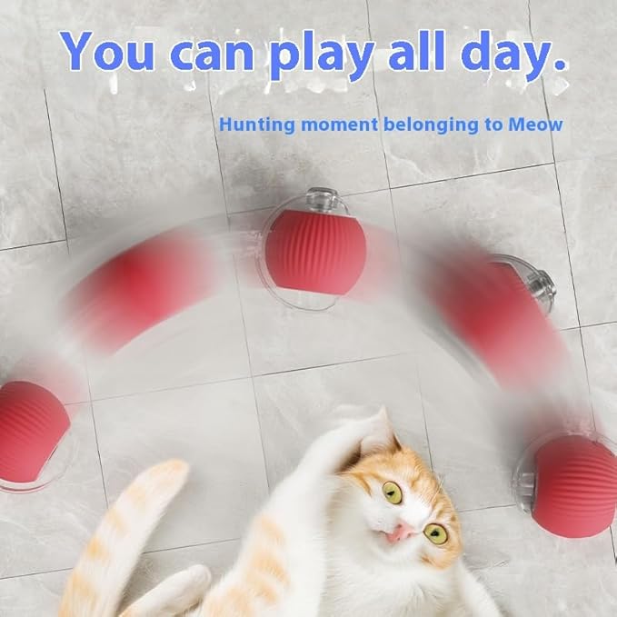 Interactive Cat Toys Ball for Indoor Cats, Interactive Rolling Small Dog Cat Toys Automatic Self Moving, 360°,Electric Balls，Fast Rolling，Smart Automatic Rolling Pet Ball (Green)