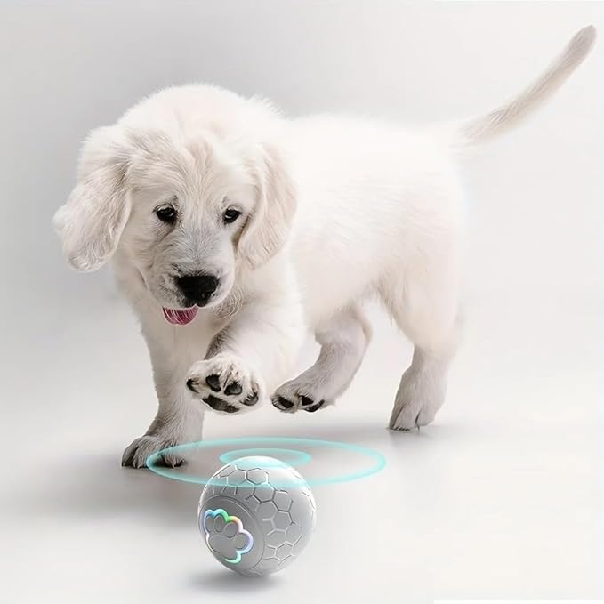 Smart Interactive Dog Toy Ball, USB Rechargeable Automatic Rolling & Bouncing Pet Ball with RGB Lights for Dogs and Cats