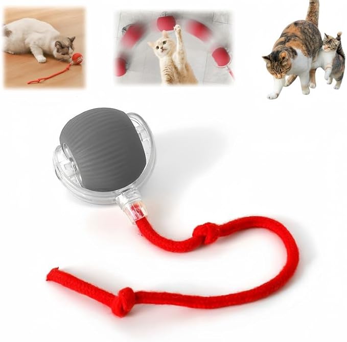 Interactive Rolling Cat Ball, Interactive Cat Toys Balls, Cat Toys for Bored Indoor Cats (Grey)