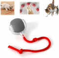 Interactive Rolling Cat Ball, Interactive Cat Toys Balls, Cat Toys for Bored Indoor Cats (Grey)