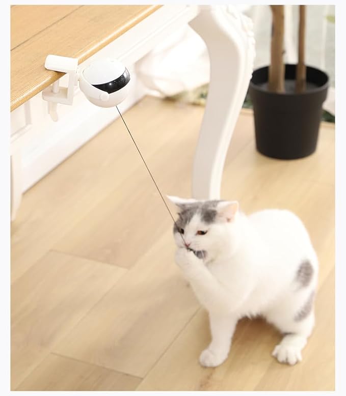 Interactive Cat Toy Ball - Smart Cat Teaser Ball - Rolling for Cats - Smart Pet - Indoor Pets Moving - New Pets Toys - Yoyo
