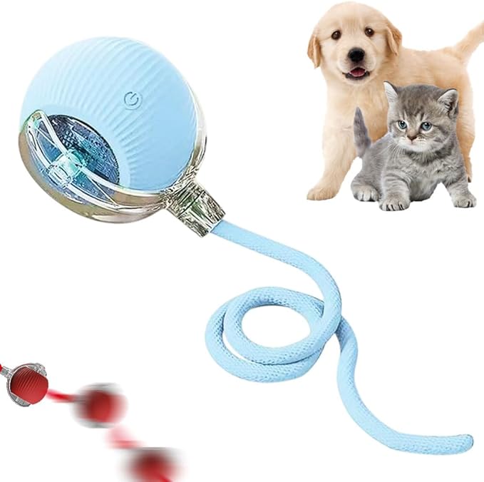 Yilia Interactive Cat Toys for Indoor Cats, 2026 Upgrade Kitten Toys to Relieve Boredom for Indoor Cats, mart Automatic Electric Balls Toys for Bored Cats Dogs (Blue)