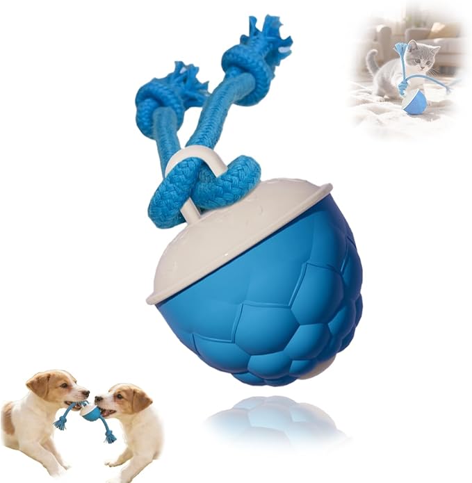 KumCinn Power Tail 2.0 Automatic Moving Dog Ball - Interactive Dog Toy | Self-Rolling, Motion Activated Electric Pet Ball to Keep Dogs Busy & Relieve Boredom (Suitable for All Dog Breeds)