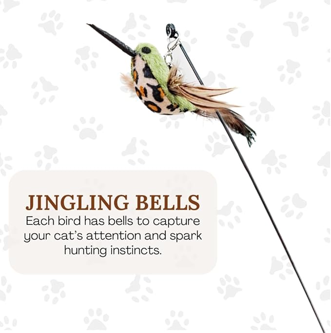 Interactive cat Toys